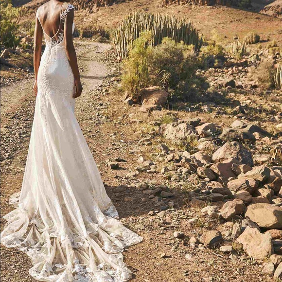 Pronovias Erebus Wedding Dress - Picture 2 of 8